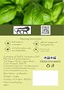 The Meadows Tulsi Green Tea - 100g - 100 Cups | Natural Loose Leaf with Refreshing Flavour and Mild Aroma (Pack of 1) gallery image