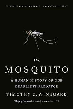 61P2A2jZs1L._AC_UF350,