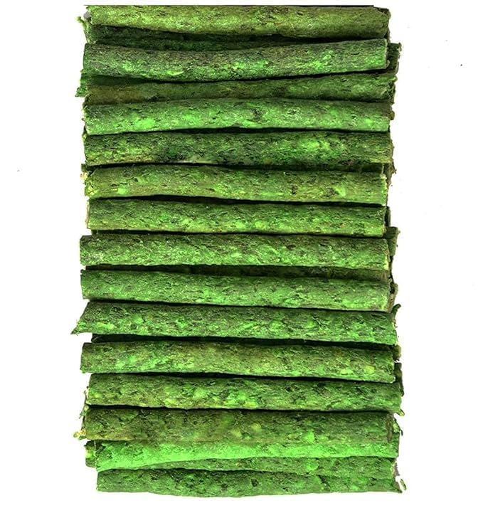 Dog Trust Chew Sticks Munchy Mint Flavour Green Veg Munchies 1000gTreat Dog Food Treat for Puppy Puppies Pet Cat Highly Nutritional & Digestible (1000g of 1)