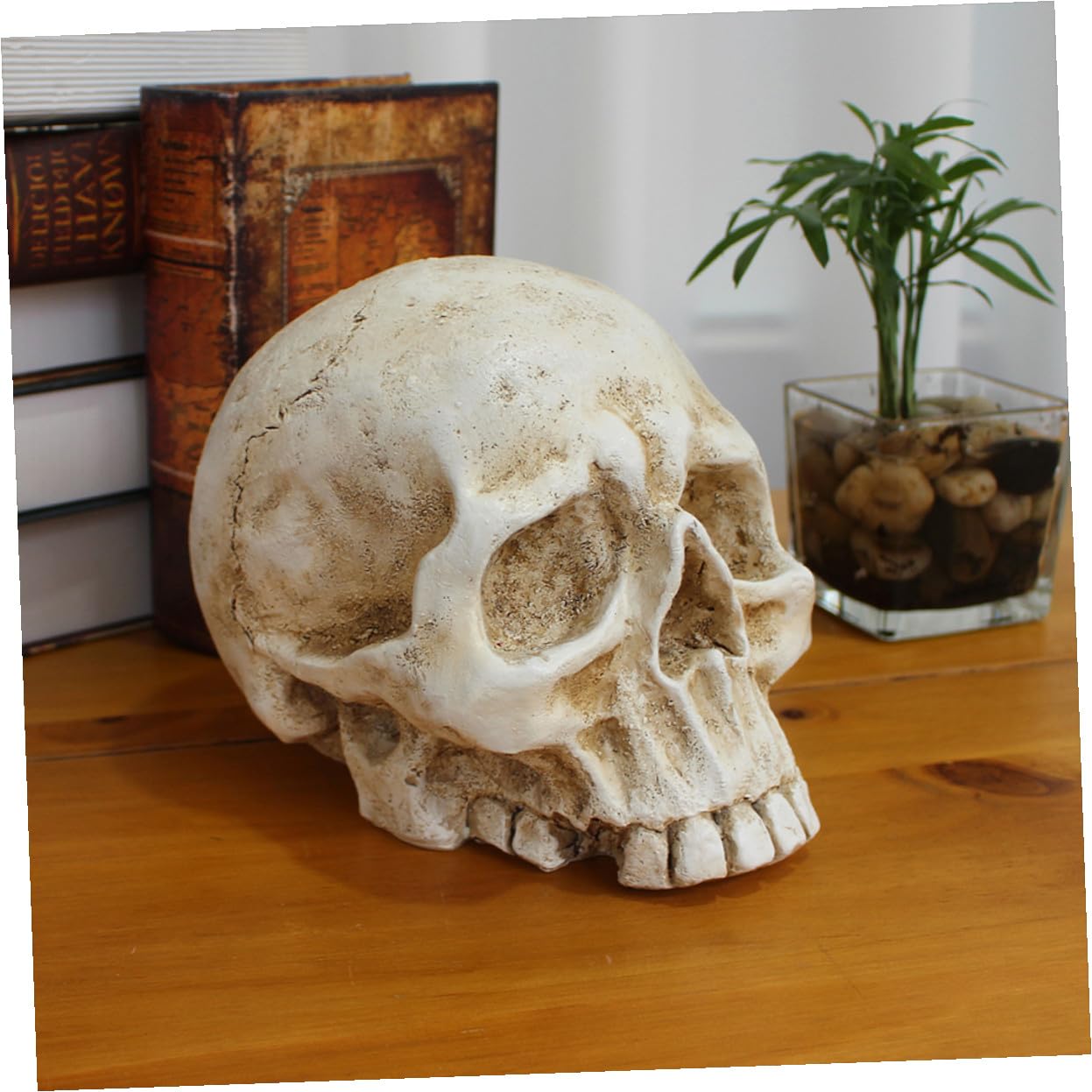 VALICLUD Halloween Resin Skull Table Centerpiece Decoration Human Skeleton Head Ornament for Party Photo Prop And Desktop Decor