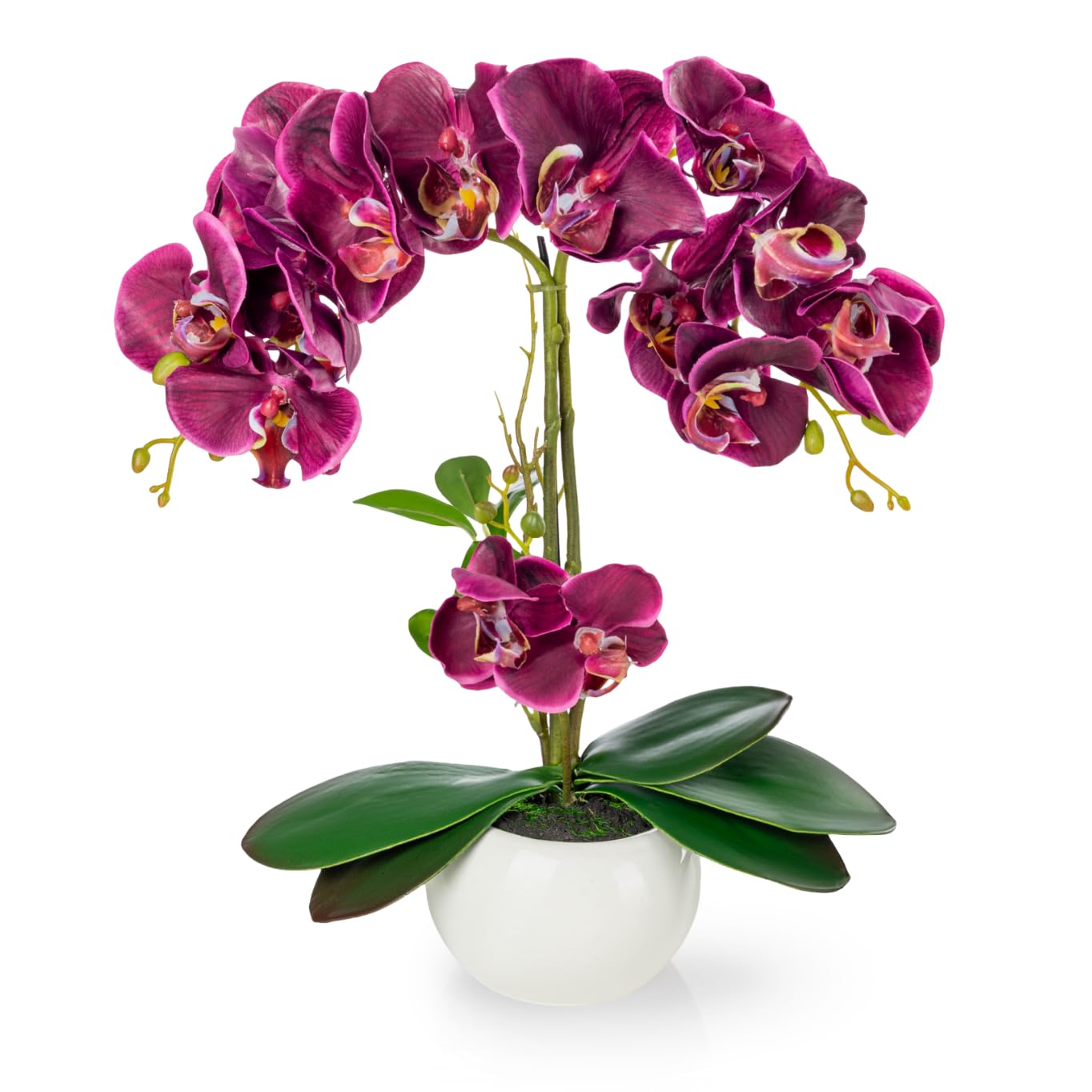 PASCH® Orchideen künstlich in Hochglanz-Keramiktopf (40cm) | Kunstblumen im Topf | Kunstblumen wie echt | künstliche Orchideen im Topf | künstliche Blumen im Topf | Kunstblume Orchidee