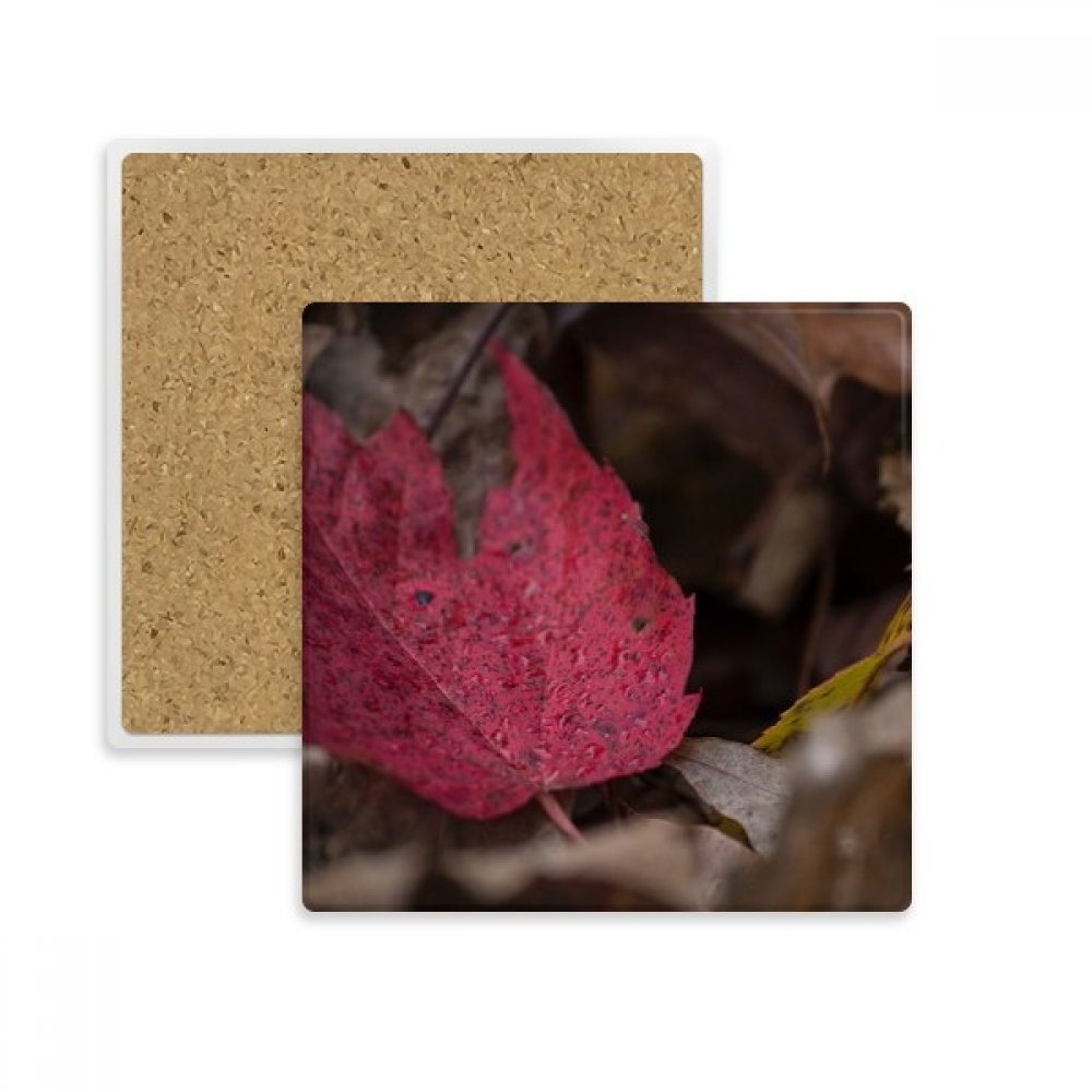 Dessous de verre en pierre absorbante feuille d'érable rouge pour tasses et verres