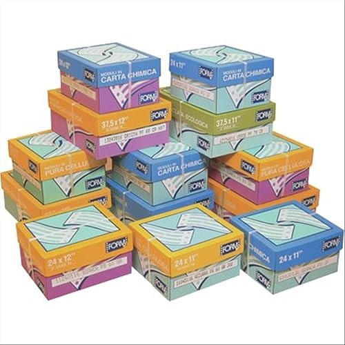 Carta modulo continuo Form lettura facilitata 24x12" 2.12ozmq piste staccabili grigio 11243118 (conf.2000)