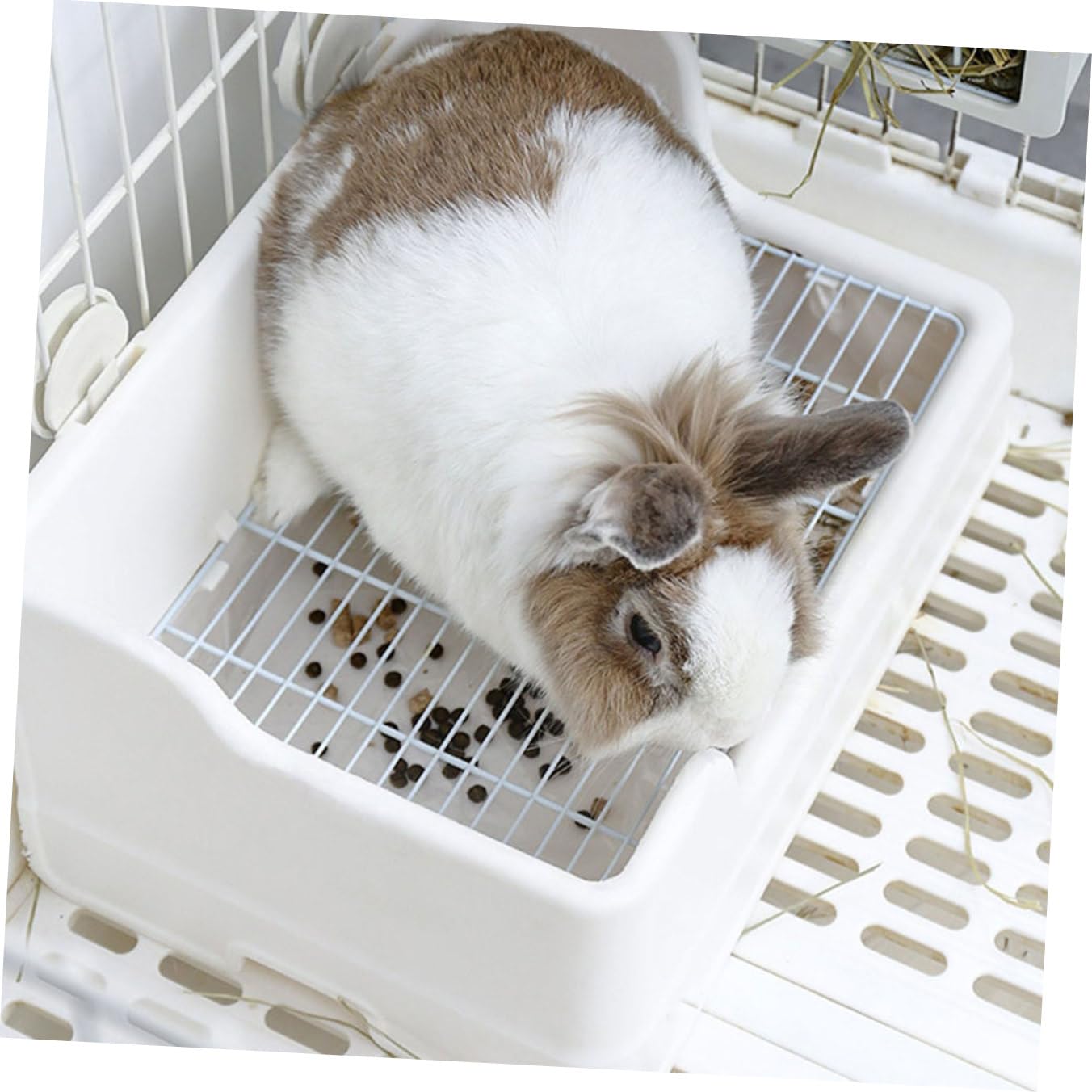UPKOCH Lettiera per Conigli in Plastica Bianco, Vasino Trainer Diviso in Parti Separate, Facile da Pulire e Rete Appropriata per Piccoli Animali Domestici