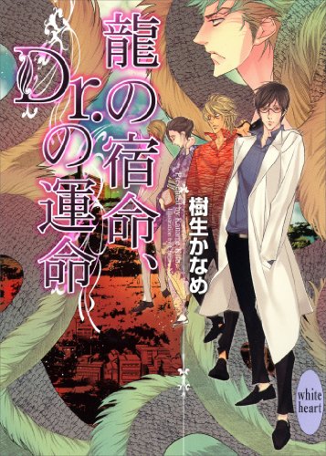 龍の宿命、Ｄｒ．の運命　龍＆Ｄｒ．(10) (講談社X文庫)