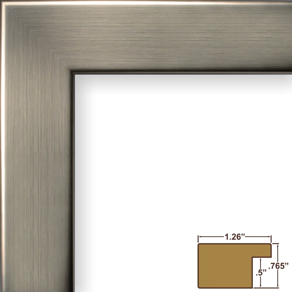 Amazon.com - Craig Frames 26966 8 x 12 Inch Picture Frame