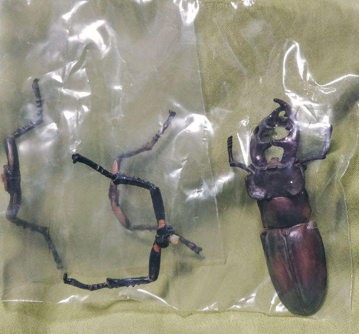 Amazon.co.jp: 日本クワガタムシ大全 全7種 カプセルQ 海洋堂 昆虫