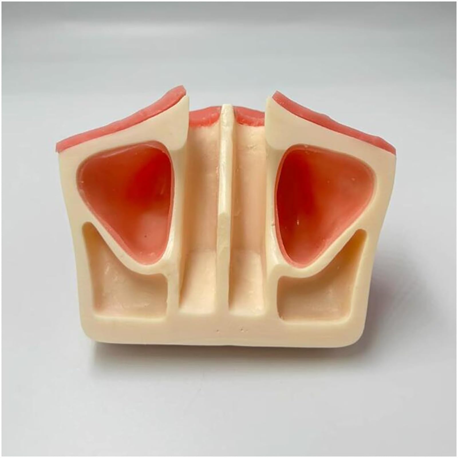 Implantat-Modell Oberkiefer-Sinus-Lift-Übung Weiches Zahnfleisch Oberkiefer-Sinus-Lift-Übungsmodell – Zahnimplantat-Übungsmodell – Orale Simulation Implantat Weiches Zahnfleisch-Zahnmaterial