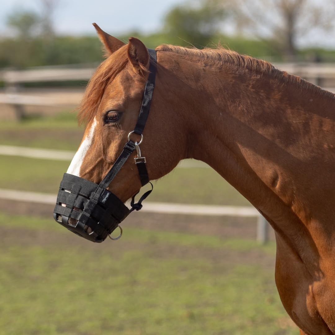 Fressbremse Pferd & Pony Maulkorb mit Fress-Schutz stufenlos einstellbar Weide-Maulkorb schwarz