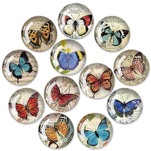 12Pcs Glass Strong Magnetic Refrigerator Magnet Fridge Sticker, Crystal Fridge Magnets Decoration, Strong Fridge Magnets for Kitchen, Cabinet, Dishwasher, School and Office Whiteboard (Butterfly)