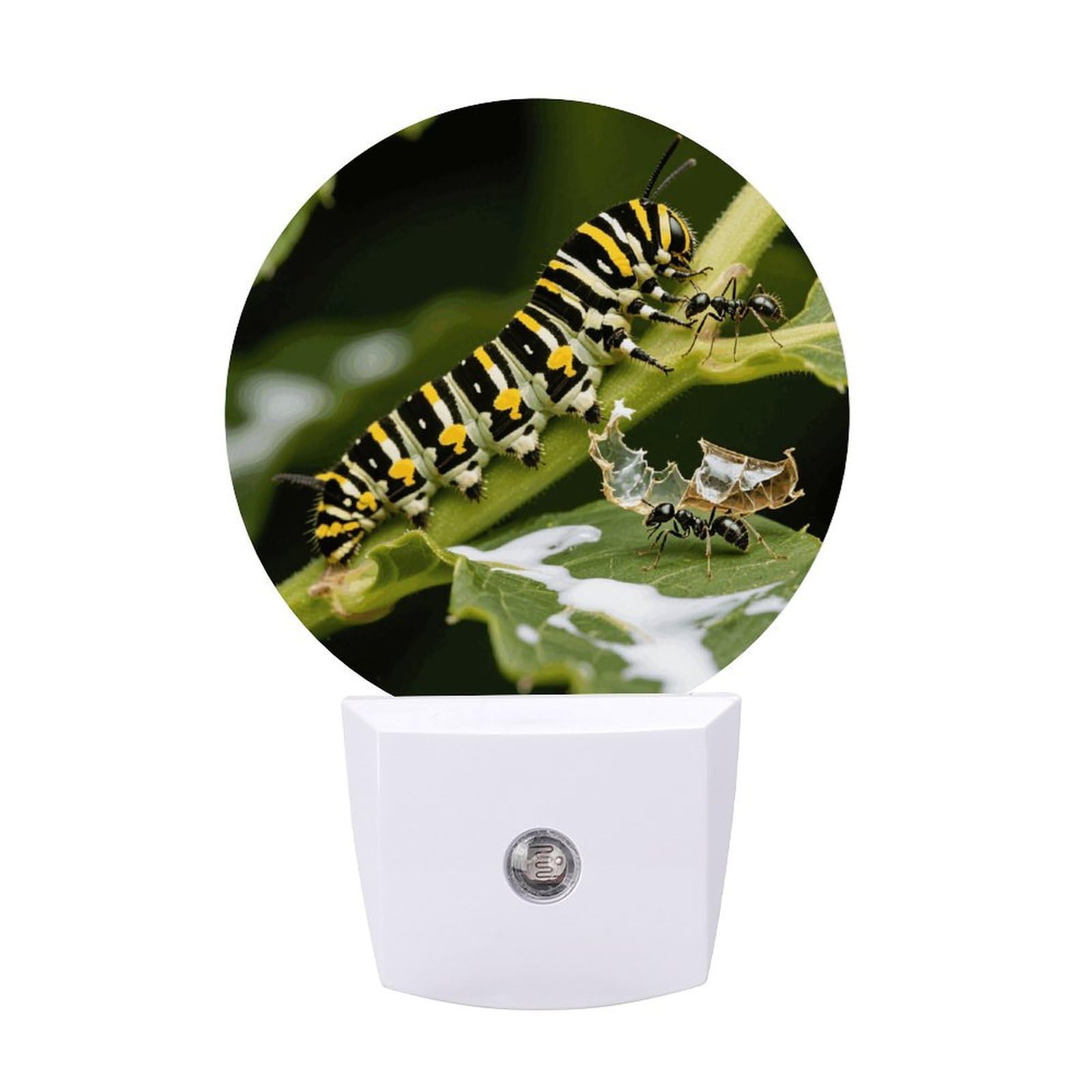 Night Light Plug Into Wall with Dusk to Dawn Sensor 0.5w Modern LED Monarch Caterpillar Plug in Night Lamp Warm White Glow Nightlight for Bedroom Hallway Kitchen Bathroom Stairs Corridor(Round)