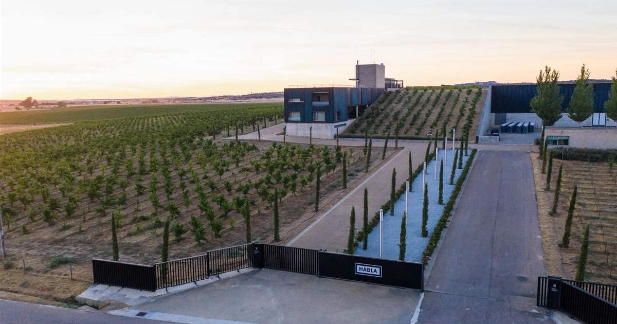 Bodegas Habla - Envío 24h - Mejor Vino de España - Cosecha Privada (6 x Botella 75 cl, Habla la Tierra)