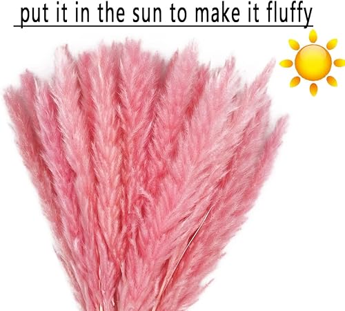 Miniatura 3 de 60 tallos de hierba de las pampas de 17.5 pulgadas, flores secas naturales, pequeñas ramas de hierba de la pampa para jarrón, arreglo floral, boda