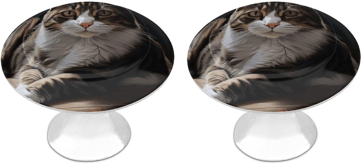 Cabinet Handles Round Drawer Pulls Tabby Cat Dresser Knobs for Cabinets and Drawers Handle Kitchen Cabinet Pulls for Bathroom Cupboard Drawers Cabinet Pulls for Kitchen Door