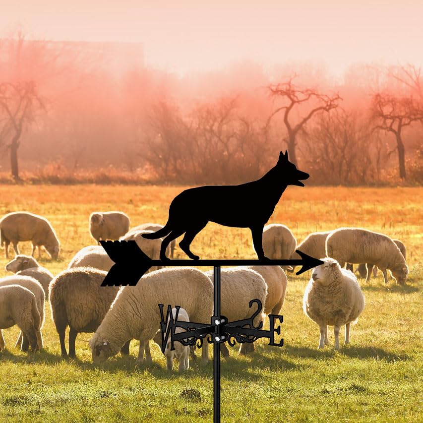 Girouette pour chien robuste contre le vent pour pelouse et ferme - 4