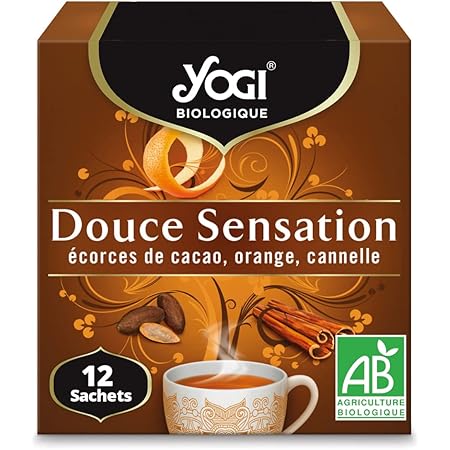 Yogi Tea Infusion Pumpkin Chai Bio 17 Sachets | France