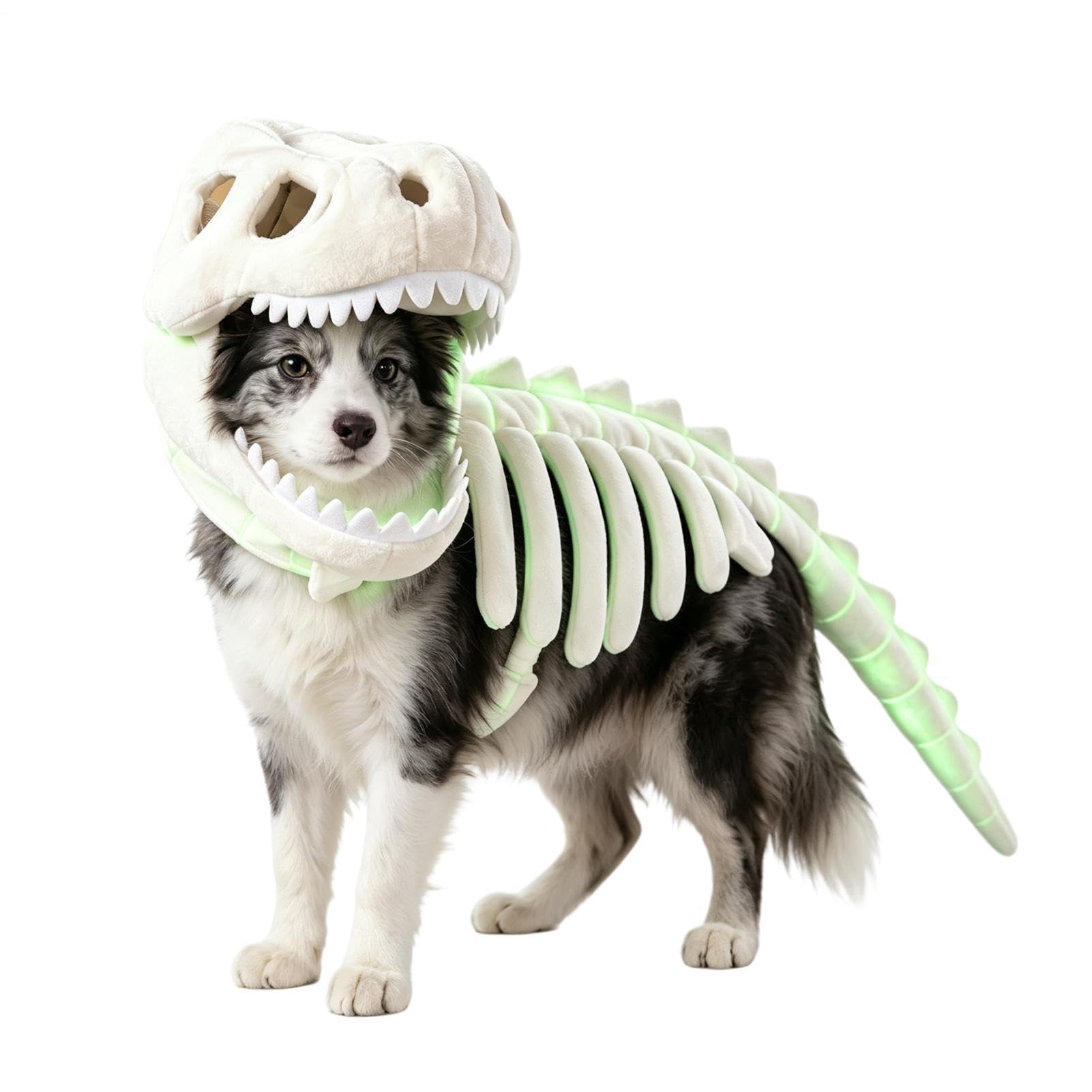 Glow-in-the Dark Dinosaur Skeleton Pet Costume for Cats Dogs Halloween Prop