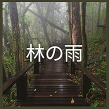 林の雨、パート9
