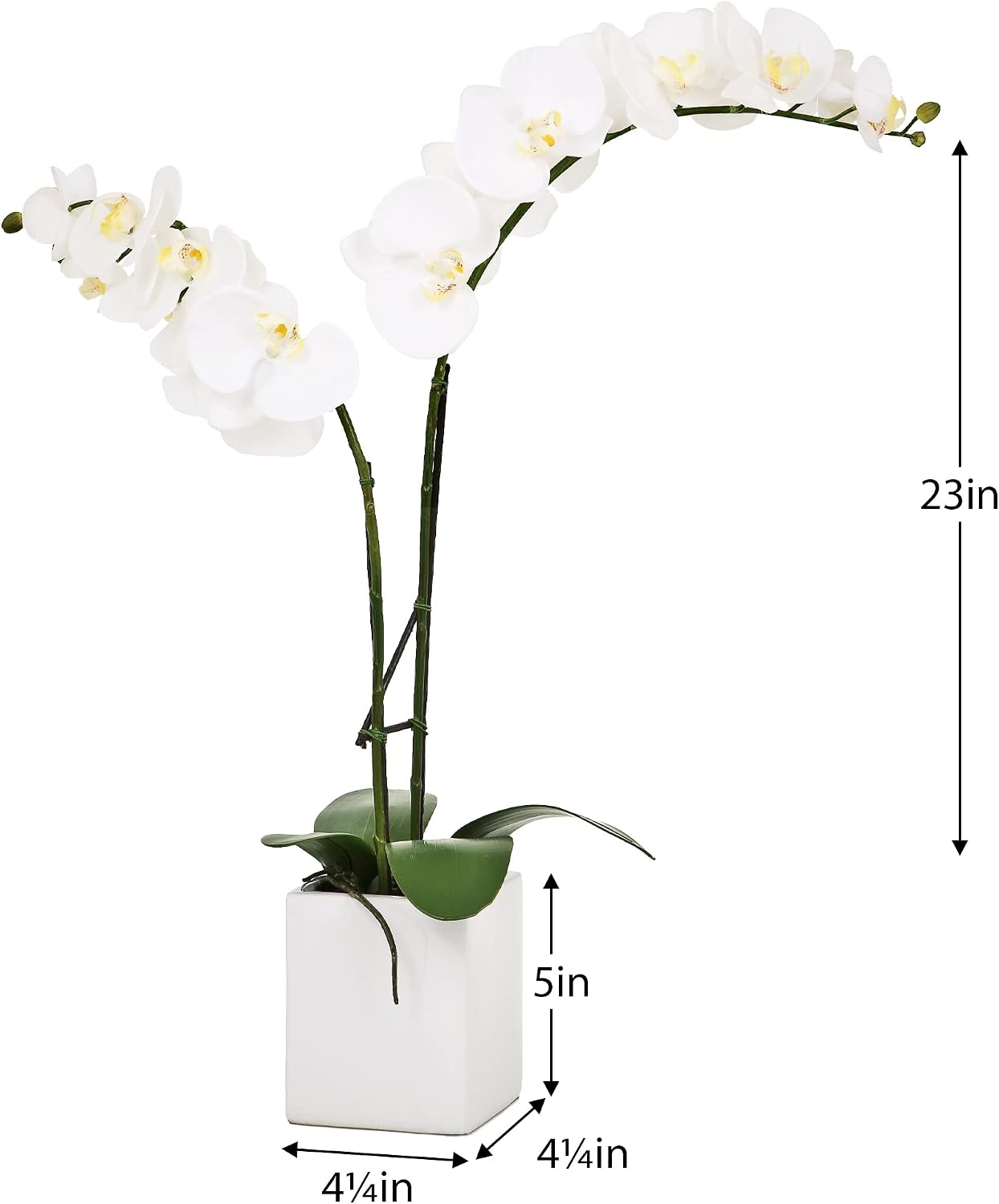 Torre & Tagus Artificial Potted Orchids in Ceramic Rectangle Pot (Double Stem)