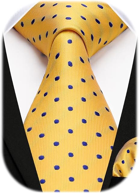 HISDERN Dot Ties for Men Wedding Tie Handkerchief Formal Business Necktie & Pocket Square Set