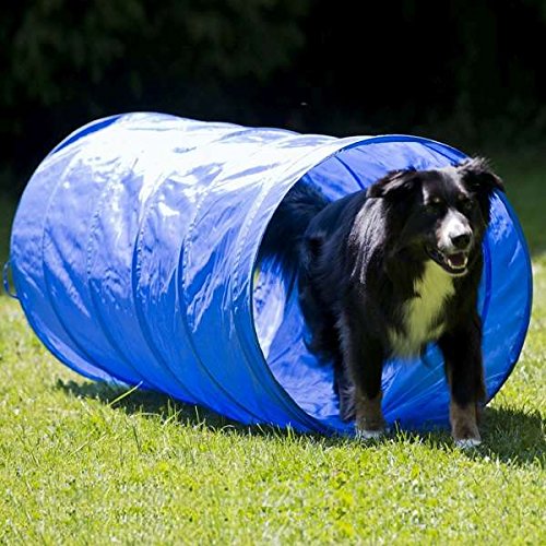 Procyon Dog Agility XXL-Set für Hundesport