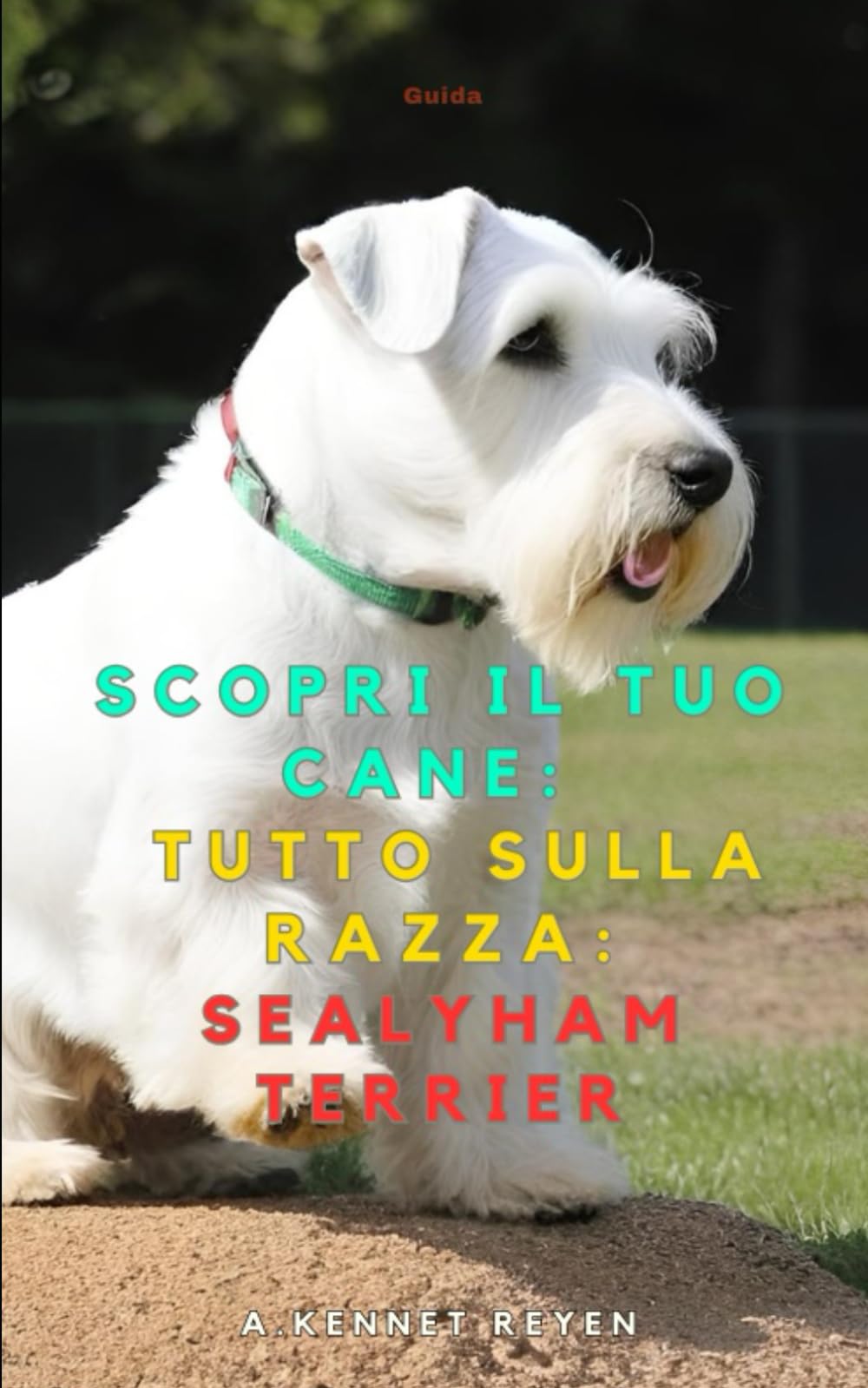 Scopri il tuo Cane:Tutto sulla razza: Sealyham Terrier