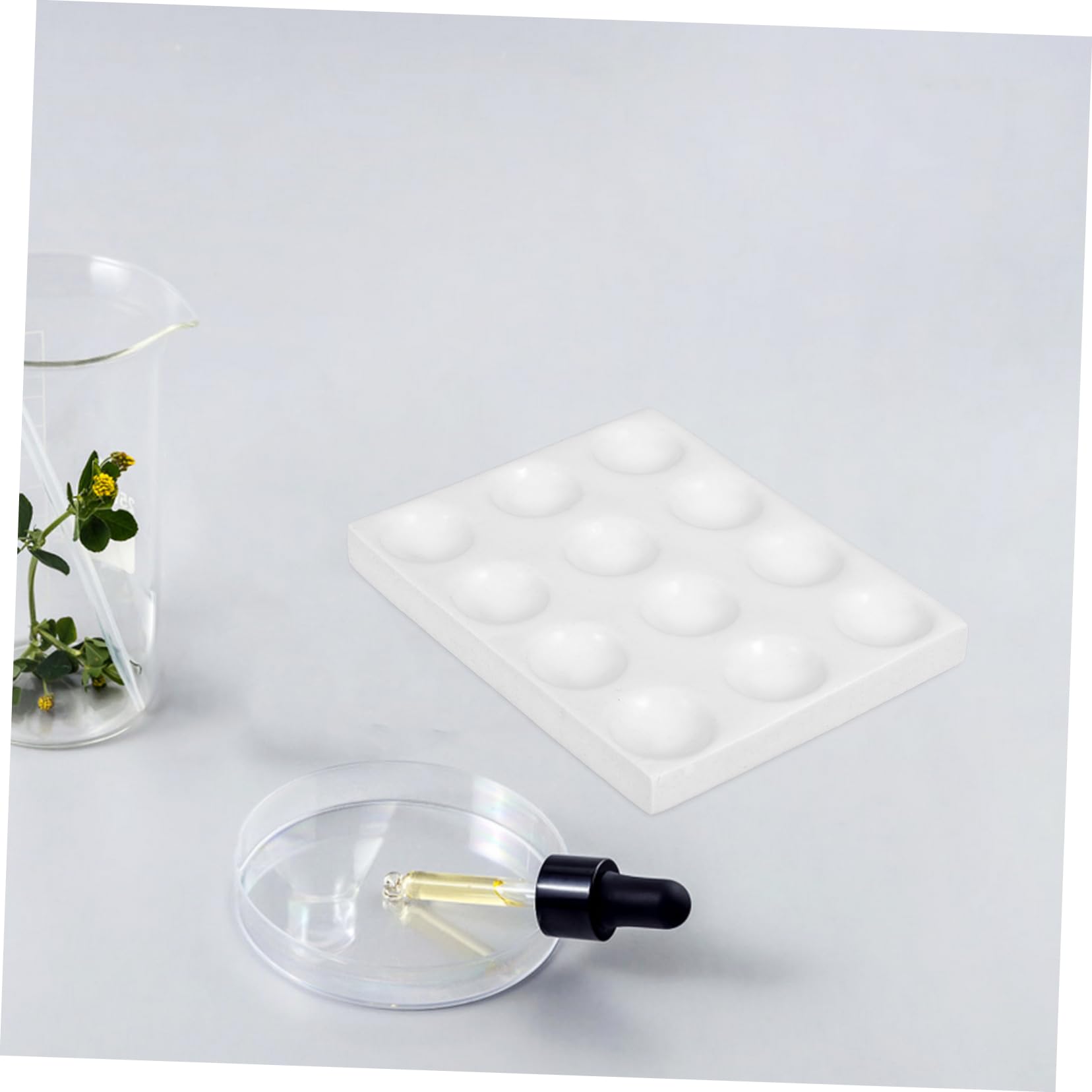 Keramik Tüpfelplatte mit 12 Löchern, Weiß für Laborzwecke | Porzellan Fleckplatte, Wissenschaftliche Experimentierplatte für Laboroperationen, Verschleißfest