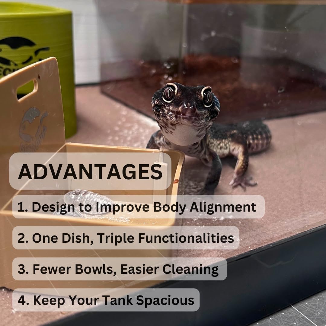 Geckopia Triple Dish 3.0 | Cuenco 3 en 1 para reptiles | Cuenco para alimentos de calcio y agua para gecko y reptiles | Plato de gusano de la harina en bioplástico | Madera