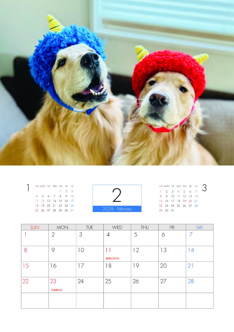 Amazon | 【予約販売】 コメ&イクラ ゴールデンレトリバー 犬 2026年