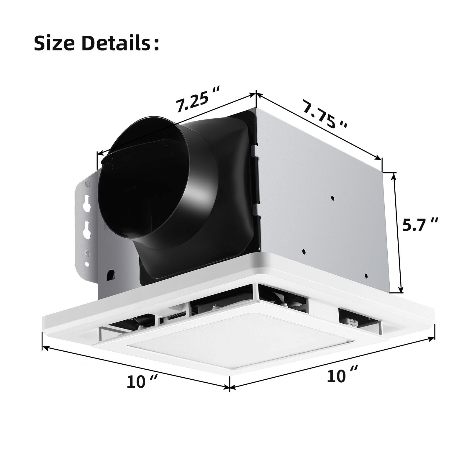 https://m.media-amazon.com/images/I/61P34ekyB9L.jpg
