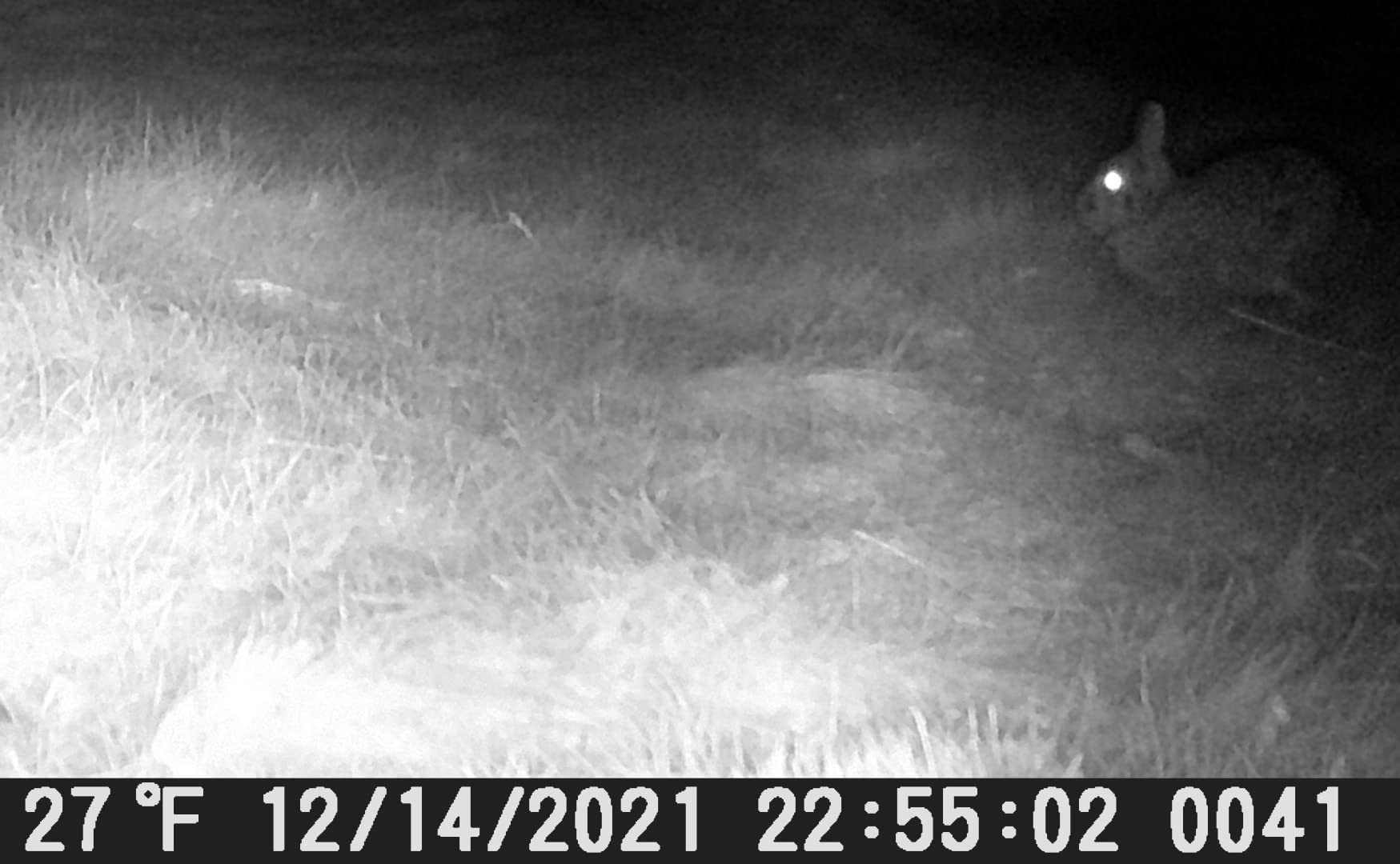 Juryn är fortfarande ute, reviderad.