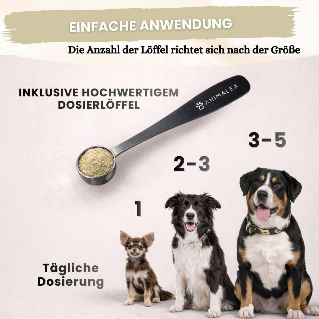 Zahnpflege Pulver für Hunde 300g - [Vorteilspack] - Zahnsteinentferner Hund - Zahnpflege gegen Mundgeruch & Zahnstein - Plaque Entfernung - Zahnpflege Hund - Futter Topping - Dental Pulver für Hunde