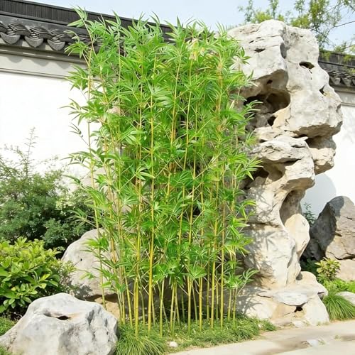 HIOSIEFUO Artificial Bamboo Plants Outdoor for Rooftop Terrace Privacy, Imitation