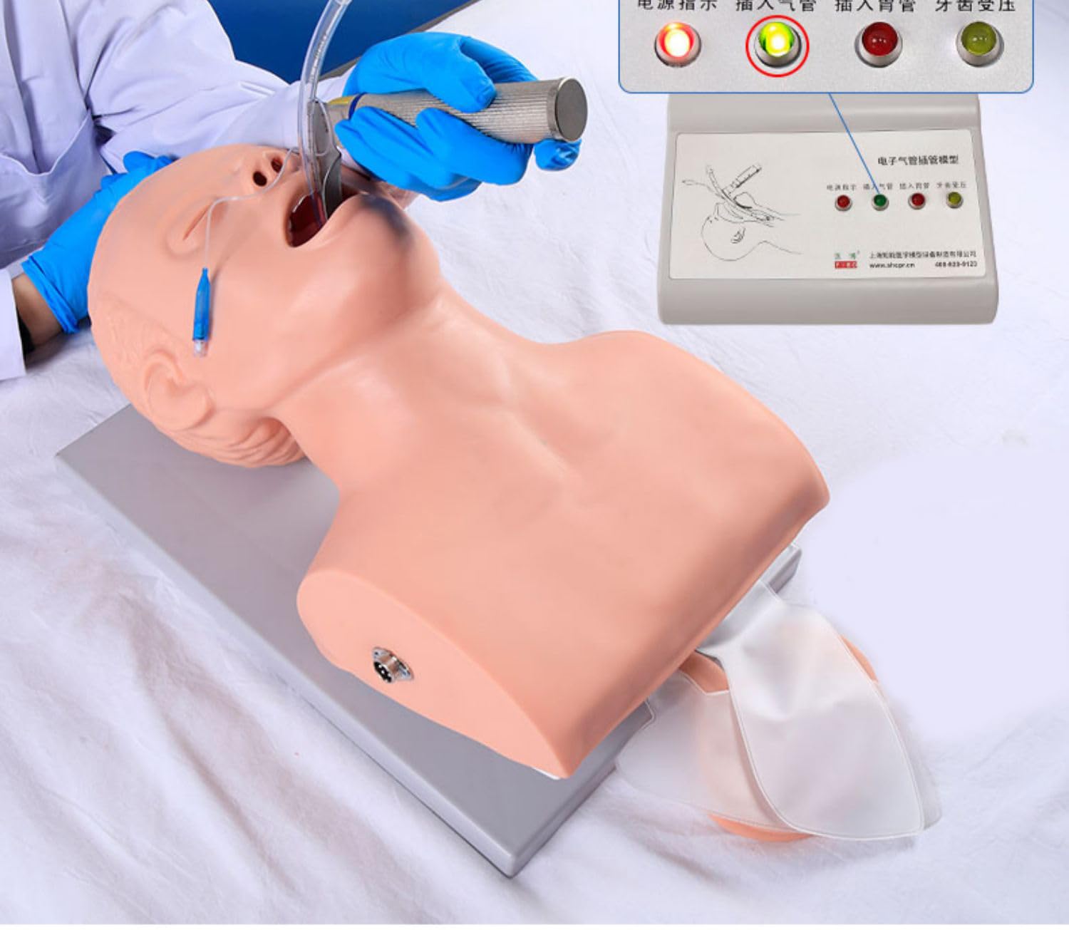 Modelo De Intubación Traqueal Oral, Nasofaríngea para Adultos De Primeros Auxilios Intubación Traqueal Humana Electrónica con Alarma Maniquí De Entrenamiento De Enfermería Médica