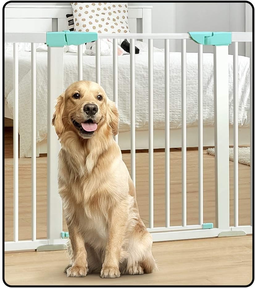 barriere per animali domestici al coperto