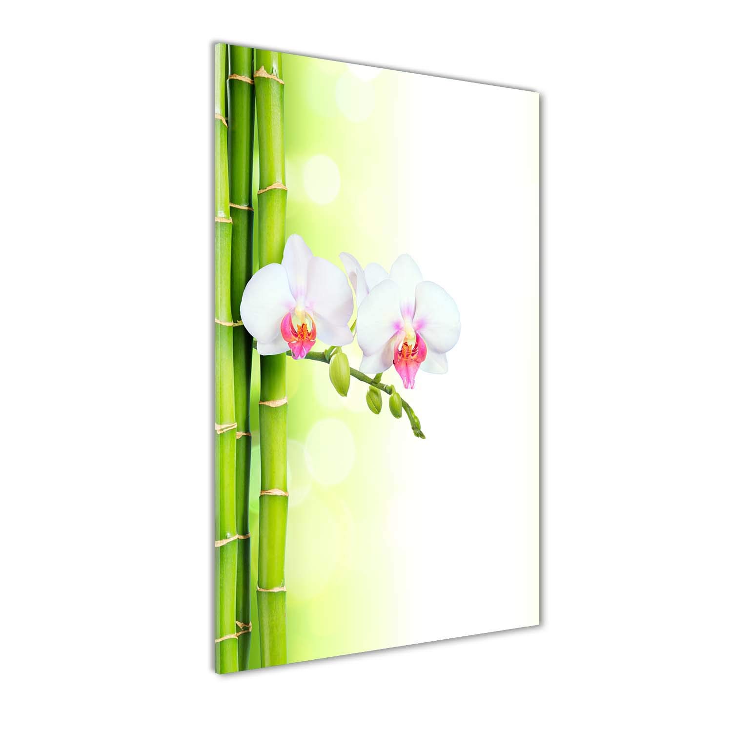 Peinture sur verre trempé avec orchidée et bambou pour un salon zen