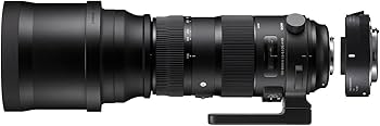 Amazon.com : Sigma 150-600mm F5-6.3 Sports DG OS HSM & TC-1401 for