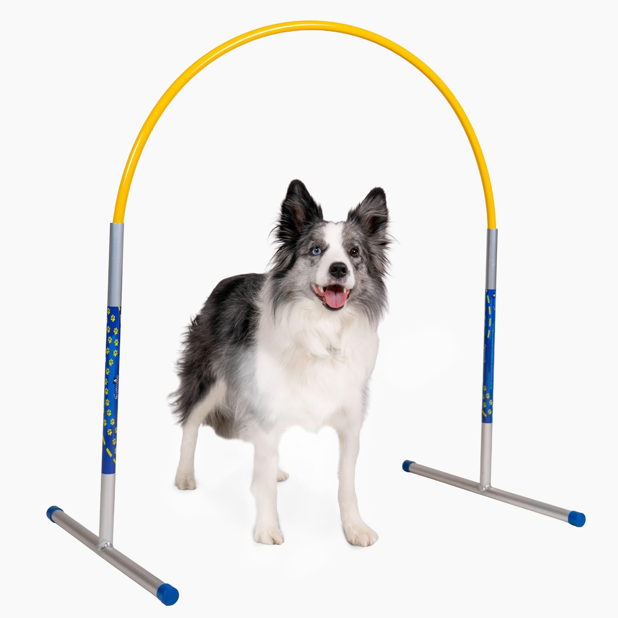 Hoopers Agility Hoops – NADAC Hoopers Agility Hoops senza barra centrale (confezione grande)