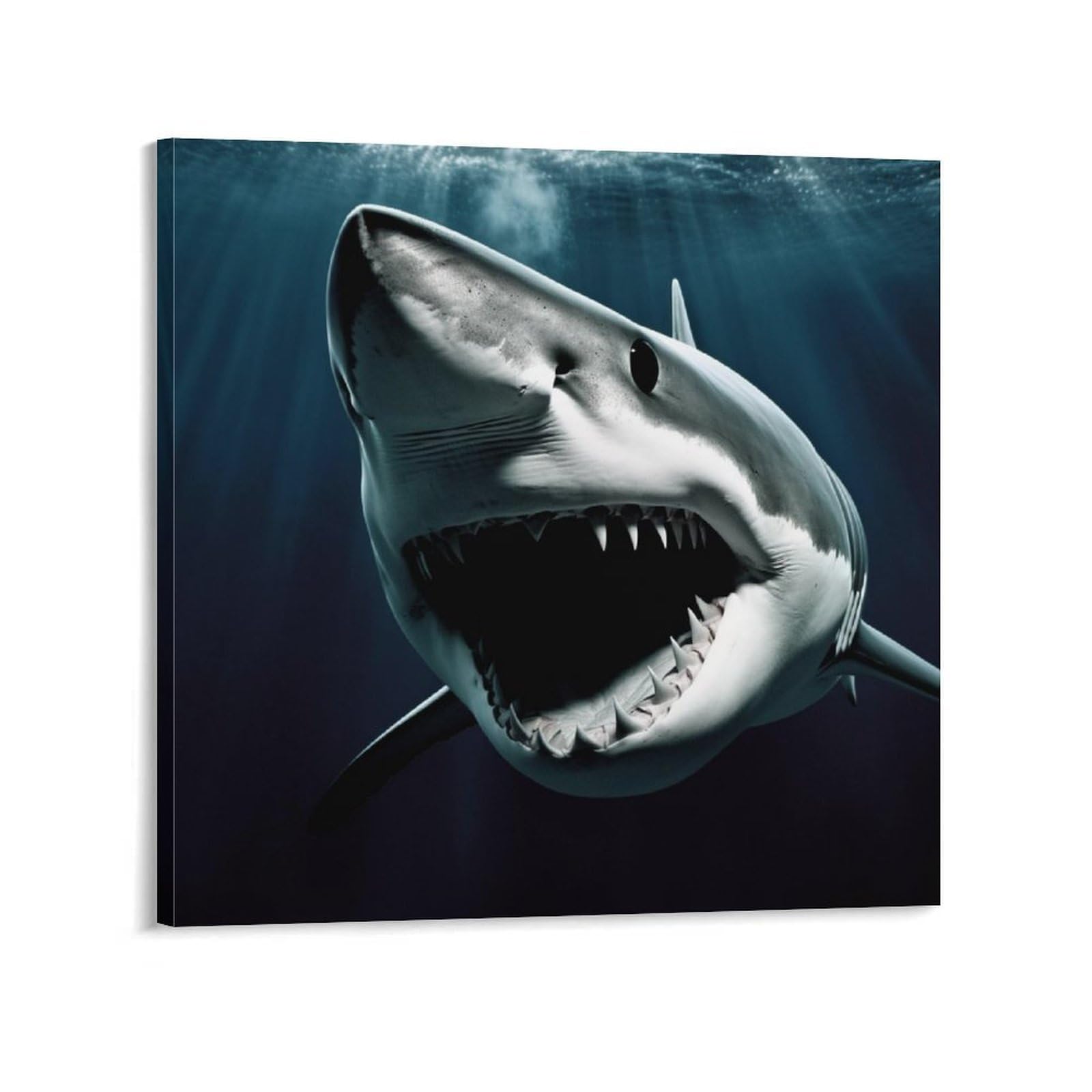 NTVOWPZO Shark Canvas Wall Art for Bedroom 24x24inch Canvas Prints Artwork for Walls Modern Picture Artwork Painting for Living Room Aesthetic Wall Paintings for Bathroom Kitchen Office Decor