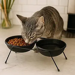 Comedouro Pet Duplo Elevado 25×10 cm para Cães e Gatos Pequenos – Suporte Metálico com 2 Tigelas 12 cm – Estável, Antiderrapante, Design Ergonômico para Melhor Digestão