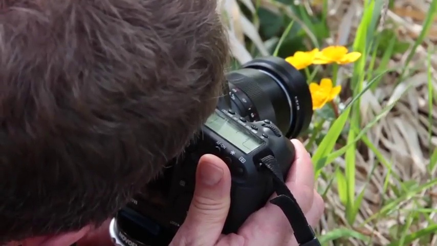 Amazon.com : Novoflex Reverse Macro Adapter for Canon EOS Lenses