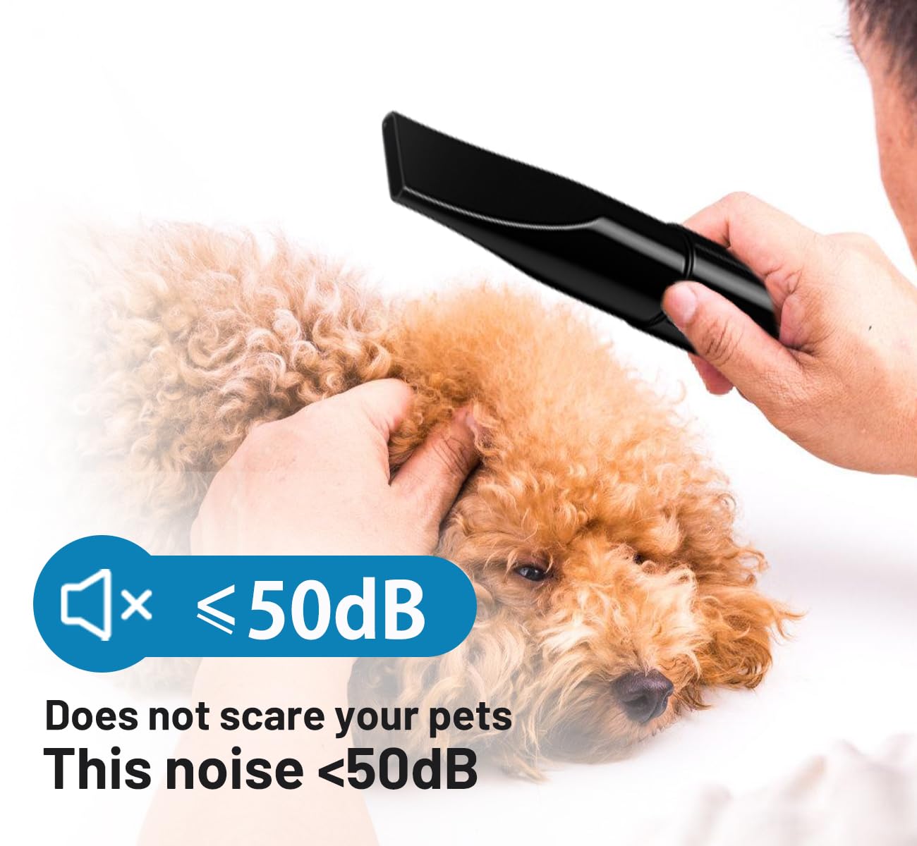 Amazon.com: Blanlody Dog Hair Dryer for Pet Grooming,3200W