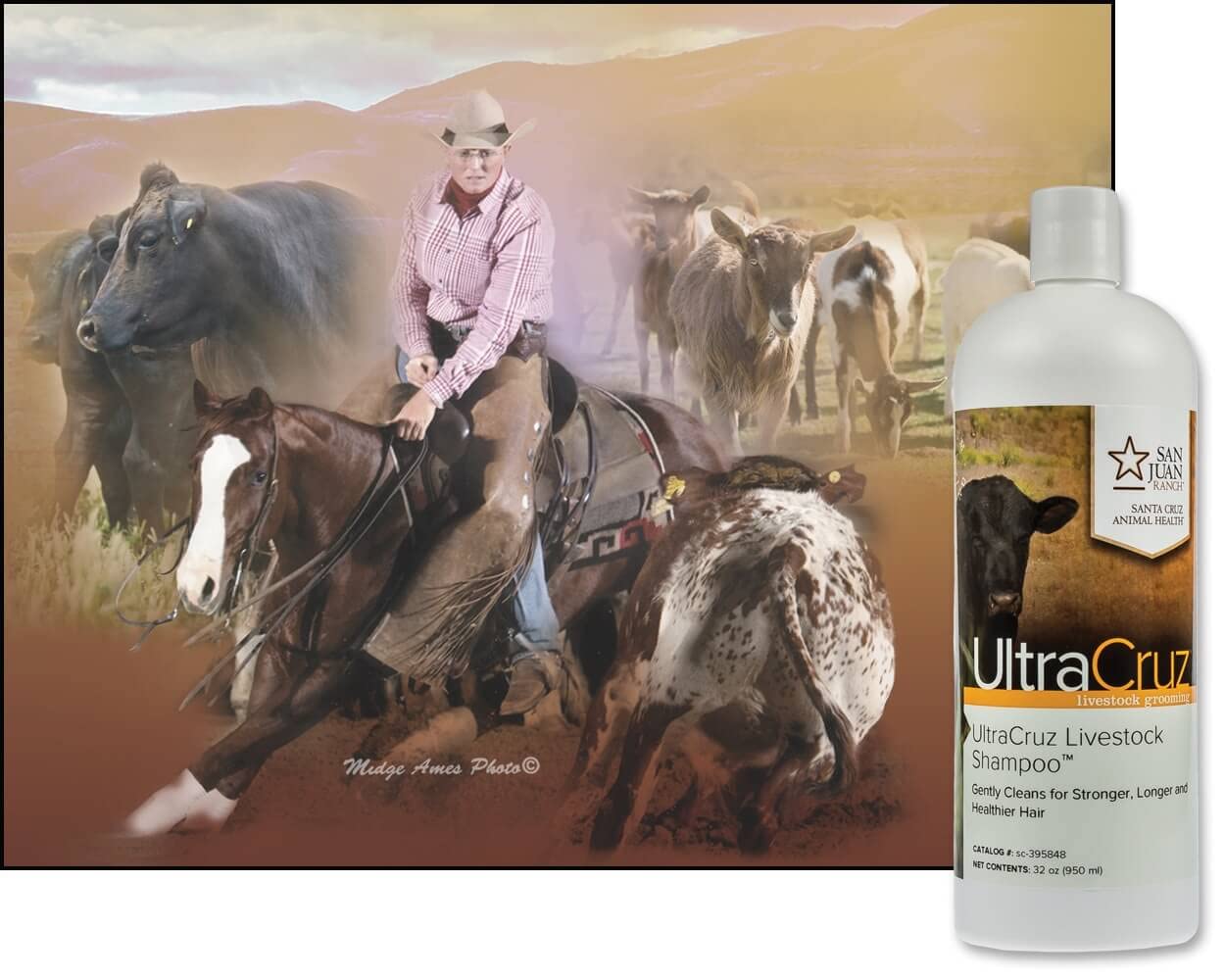 Szampon dla bydła, kóz, owiec i świń UltraCruz®, 32 uncje