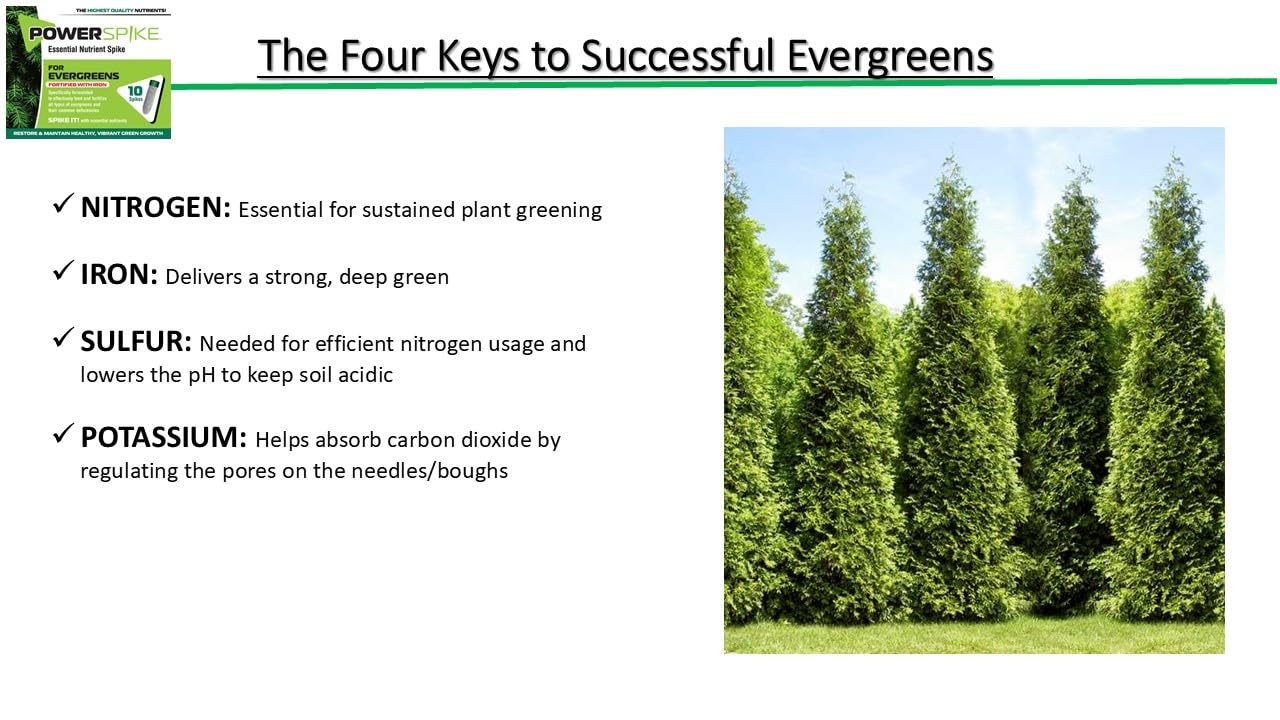 Power Spike for EVERGREENS, Fertilizer Spike. Essential Nutrient Spike Fortified with Iron to Feed All Types of evergreens and Address Common Deficiencies (10 Spikes - 3.2 lbs) (10)
