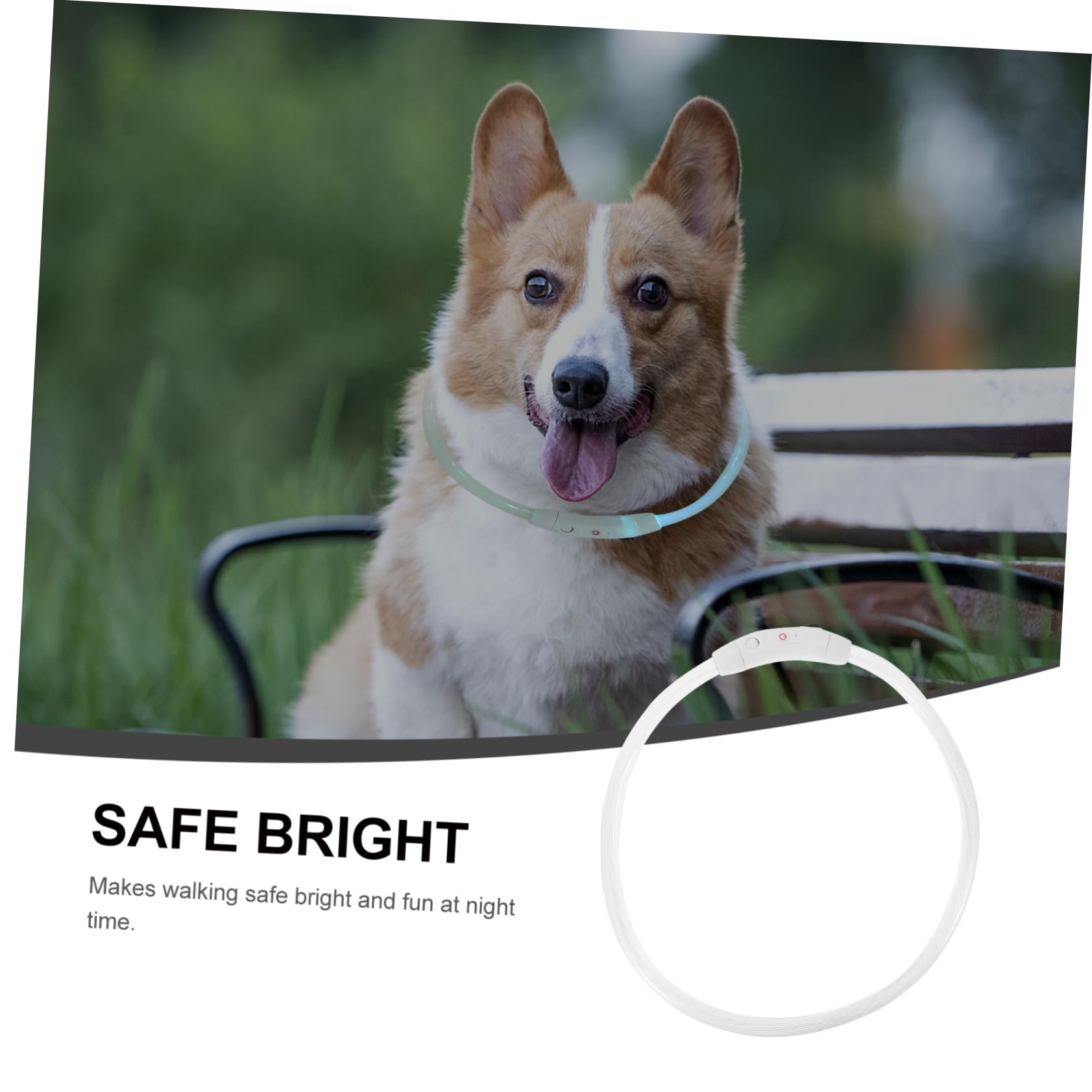 BESPORTBLE 3piezas Collar Led Reversible para Perros USB Recargable Atractivo y Ligero para Mascotas Pequeñas y Paseos Nocturnos