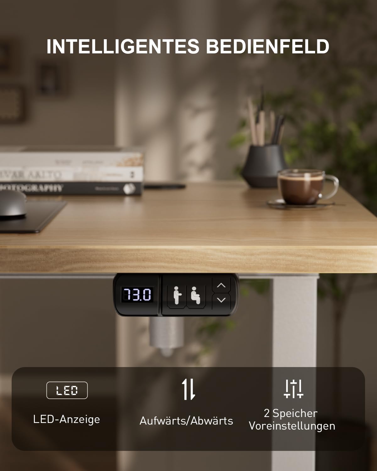 HLONONE Höhenverstellbarer Schreibtisch mit USB-Ladeanschluss und Steckdose, 120 × 60 cm Elektrischer Schreibtisch, Verstellbarer Computertisch mit 2-Funktions-Memory, Ahorn