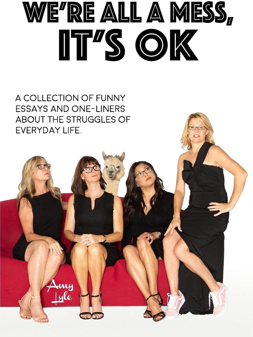 WE'RE ALL A MESS, IT'S OK: A COLLECTION OF FUNNY ESSAYS AND ONE-LINERS ABOUT THE STRUGGLES OF EVERYDAY LIFE