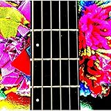 cool bananas backpackers 1770 agnes water qld  Cool Bananas