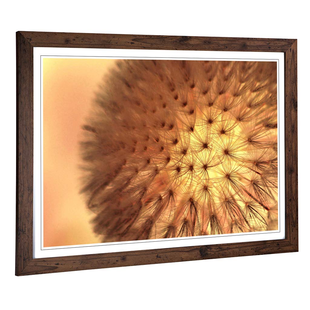 Big Box Art Framed Print of Flower Dandelion Seeds (2) Design | Wall Art Picture | Home Decor for Kitchen, Living, Dining Room, Bedroom, Hallway, Office, Walnut, A2 / 24.5x18 Inch / 62x45cm