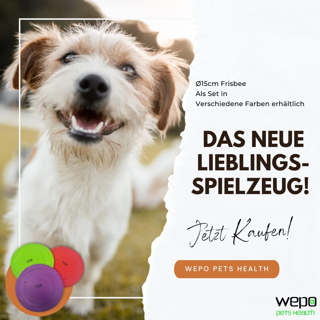 WEPO Frisbee - Juego de 3 juguetes de agua para perros de 18 cm de diámetro, juguete para perros grandes, juguete de entrenamiento para perros en rojo/morado/verde - para lanzar, jugar y entrenar en